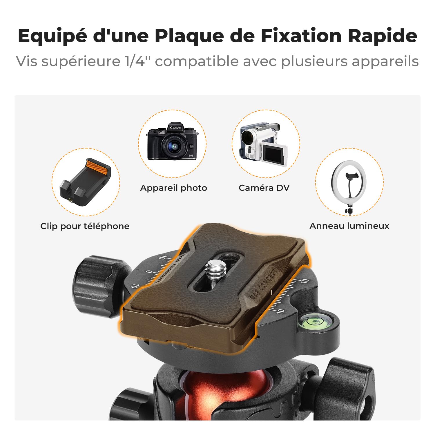 K&F Concept Rotule Ball Tête vis 3/8" en Aluminium Ball Head Adaptateur 360° Rotatif avec Plaque Rapide de Vis 1/4" pour Trépied et Caméra Charge Max 10KG