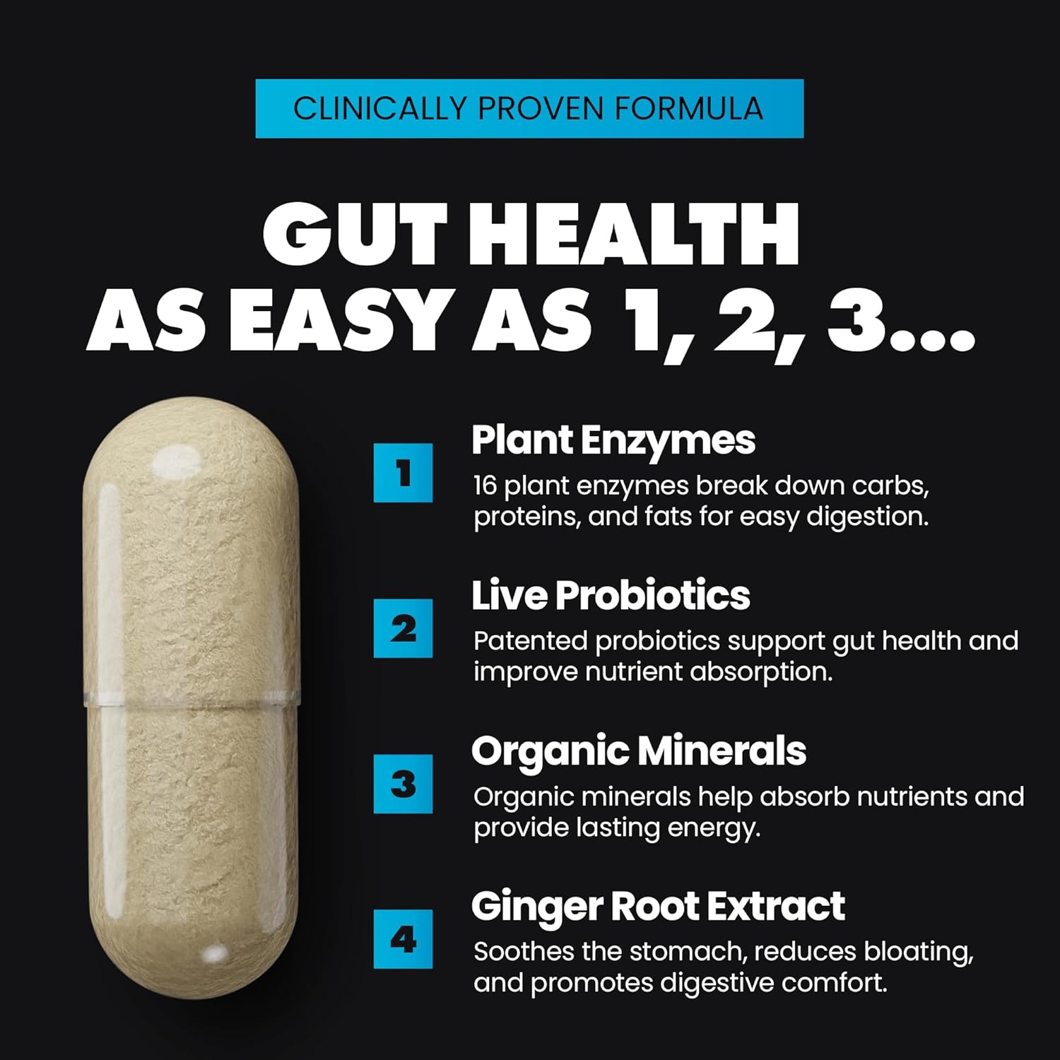 Gains in Bulk Total Digest, Digestive Enzymes, Prebiotics and Probiotics for Digestive Health, Bloating Support, Gut Health for Women and Men, Promotes Protein, Carb and Fat Digestion, 90 Capsules