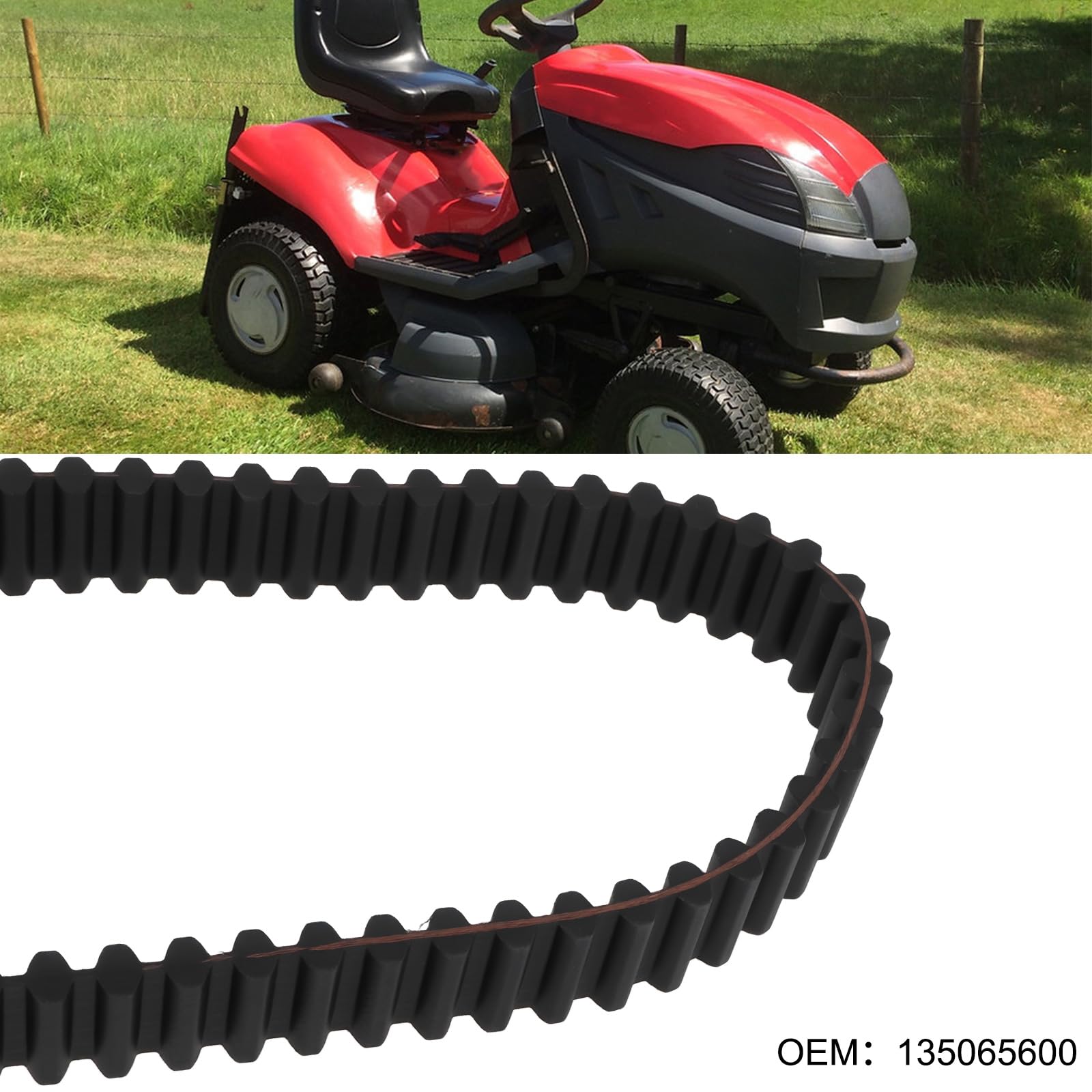 EMSea Cinghia dentata per tosaerba, 1600 x 20 x 8 mm, compatibile con CASTELGARDEN TC102 TCP102