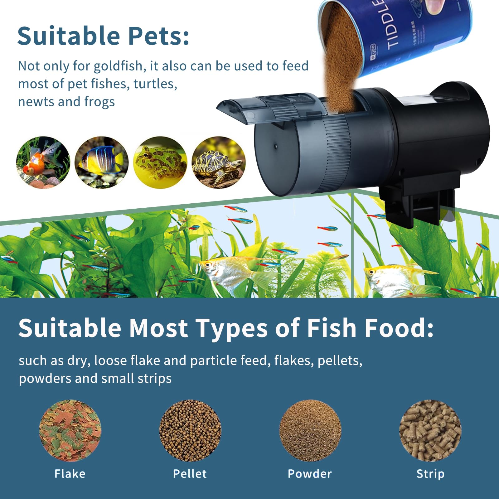 Podazz Mangeoire automatique pour poissons