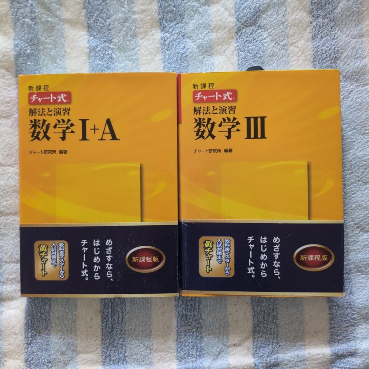 そらる初期マフラータオル After the Rain そらる まふまふ マフラー