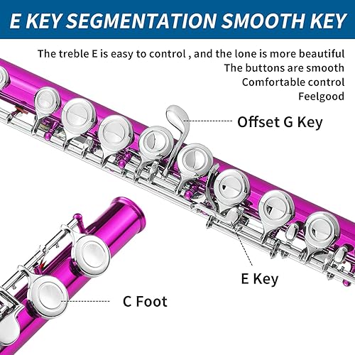 Miniatura 27 de LeSage Flauta C de agujero cerrado de 16 teclas azul para estudiantes principiantes con estuche, kit de mantenimiento, paño de limpieza, pie C