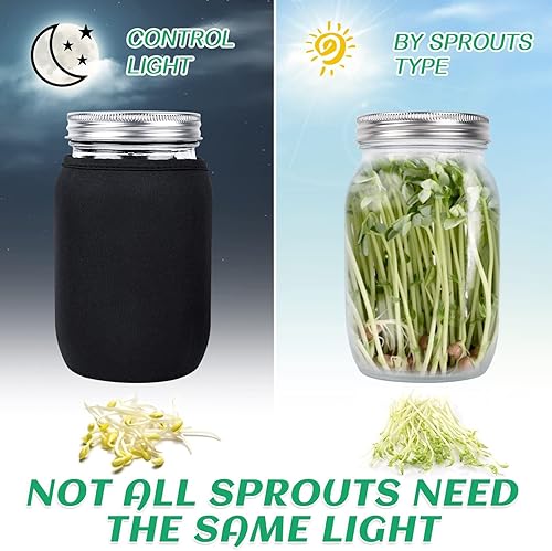 Miniatura 2 de Seed Sprouting Jar Kit with 2 Wide Mouth Mason Jars Bean Sprouts Growing Kit Microgreens Growing Jar with Mesh Screen Lids Sprouter Sprouts Maker