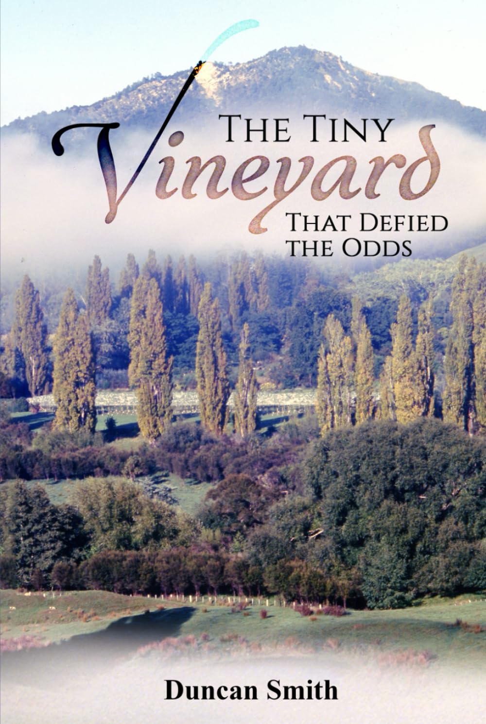 The Tiny Vineyard That Defied The Odds