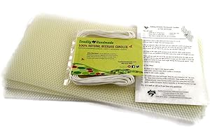 Toadily Handmade Beeswax Candles DIY Kit