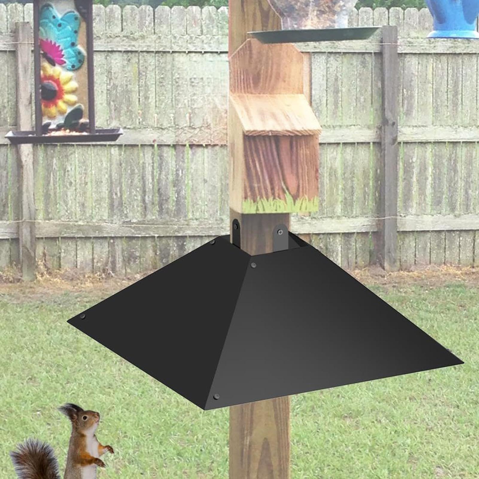 Perbes di scoiattolo per di alimentazione degli, parata di mangiatoie per per il | 4x4 Post mangiatore di Bafflel Squirrel | da giardino con pali in legno