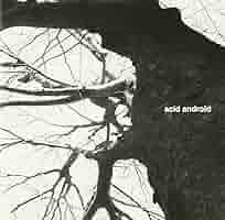 Amazon.co.jp: acid android: ミュージック