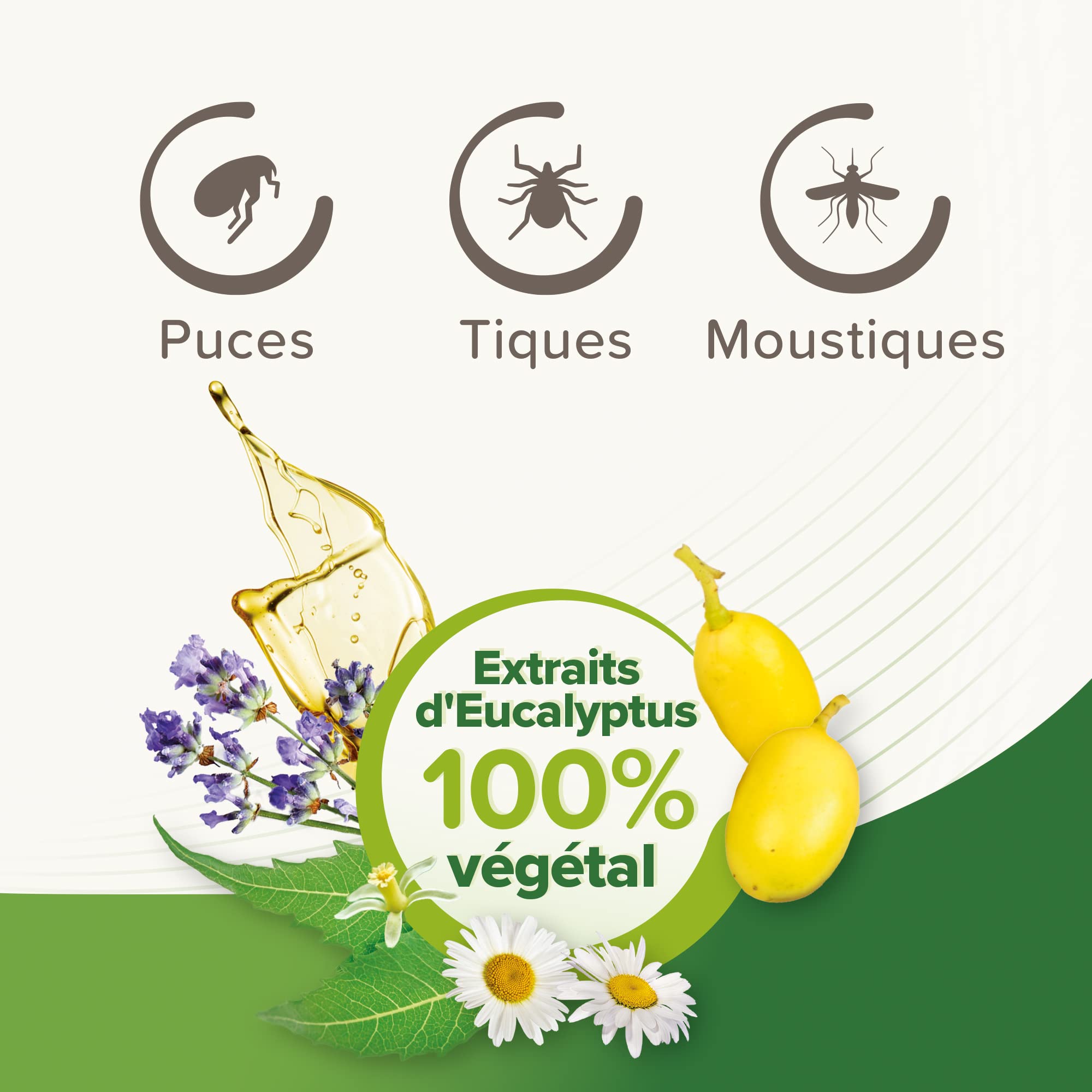 BEAPHAR – VETOPURE – Pipettes répulsives antiparasitaires pour grand chien (>30 kg) – Aux extraits d'Eucalyptus et de Pyrèthre – Contre les puces, tiques et moustiques – Protection 3 mois – 3 pipettes