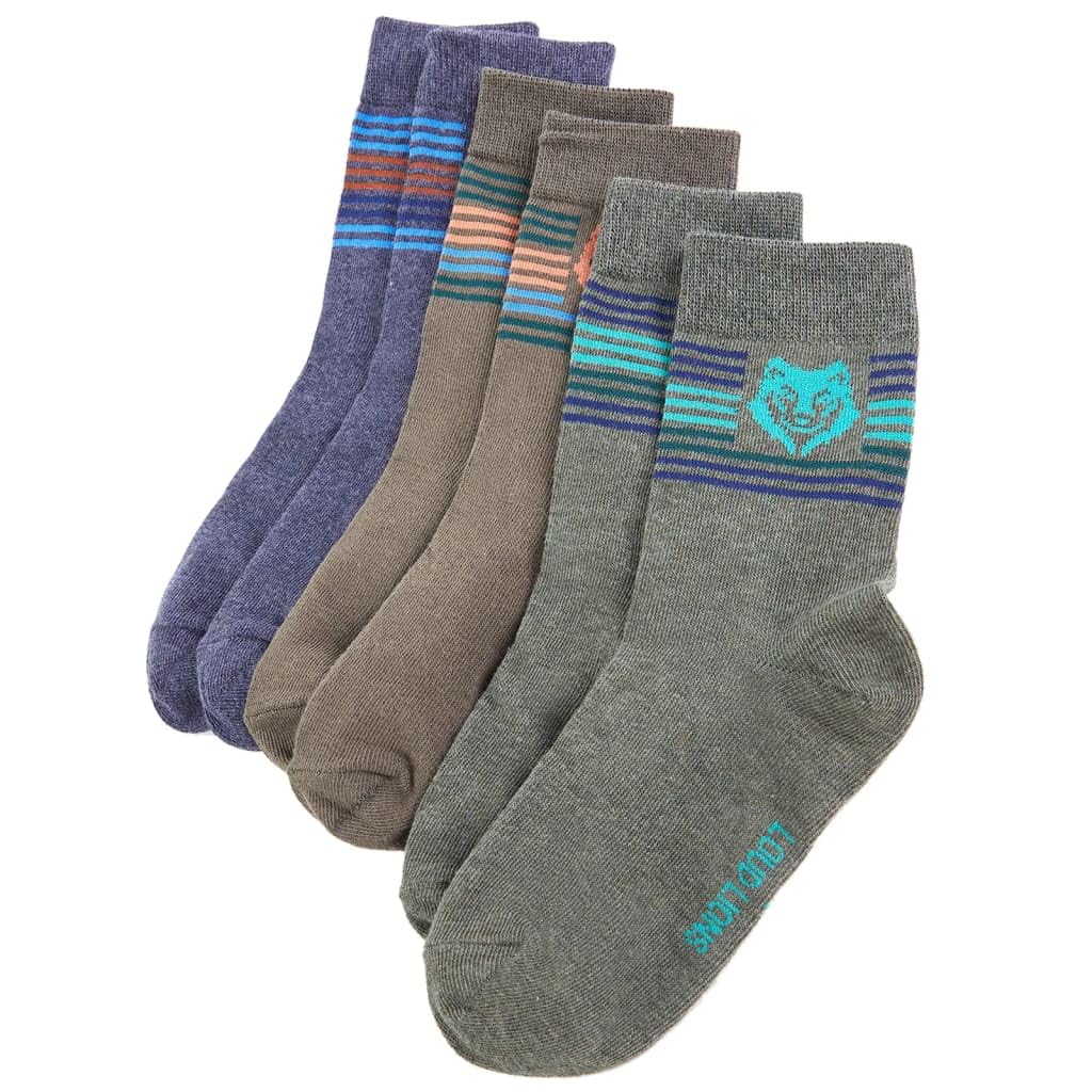 Calzini per bambini 5 paia EU 30-34 in cotone con motivo leone, antiscivolo e caldi, per ragazze e ragazzi, ideali per asilo, sport, inverno ed estate, durevoli e senza cuciture