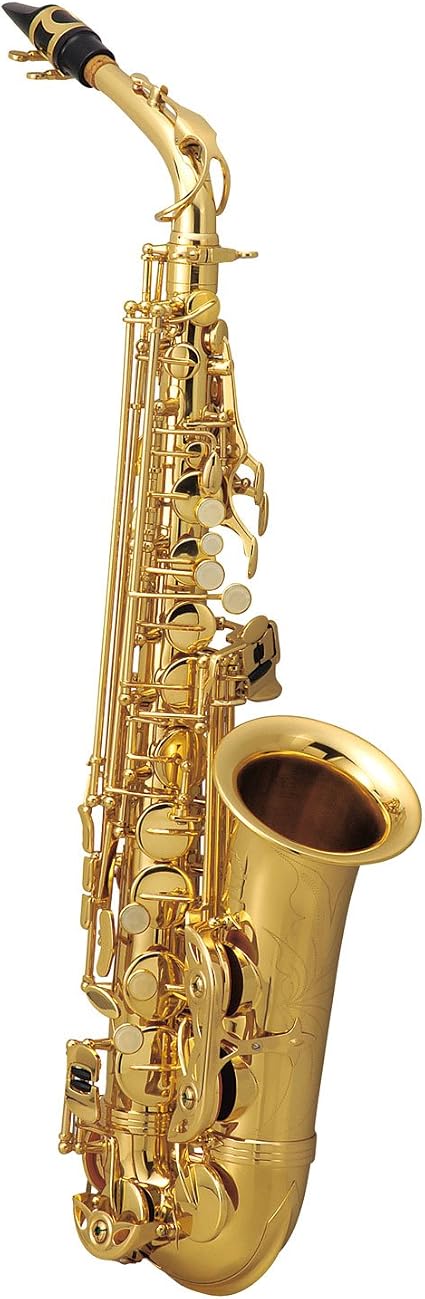 超お買い得 Maxtone アルトサックス 管楽器 Luhacovice Cz 超お買い得 Maxtone アルトサックス 管楽器 Luhacovice Cz