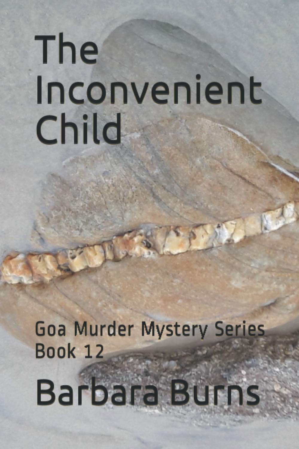 The Inconvenient Child: Goa Murder Mystery Series Book 12