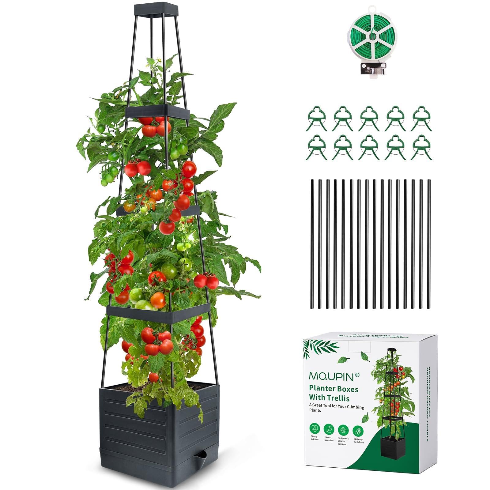 Treillis de jardin tour obélisque tuteur vertical pour plante grimpante