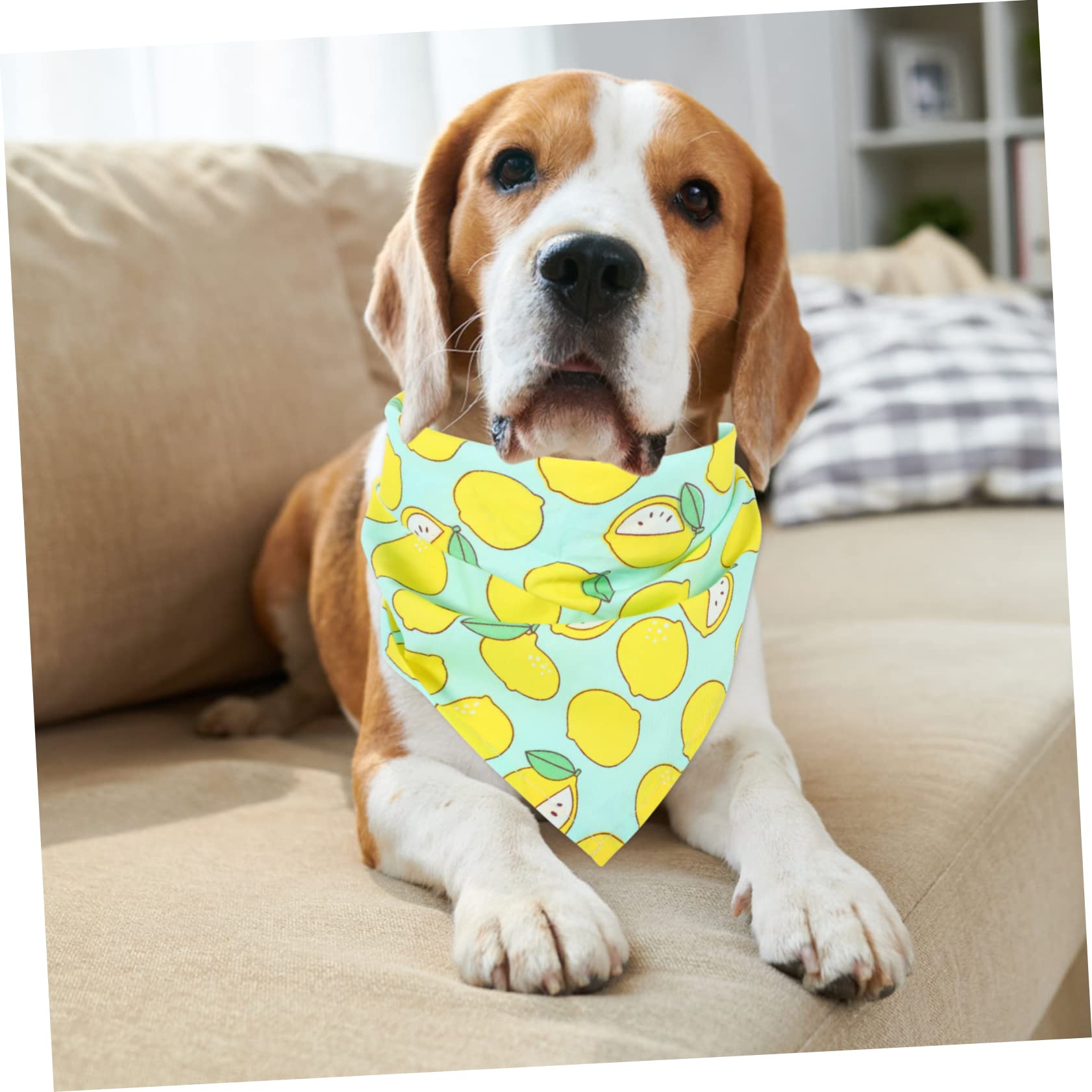 Amazon | Beavorty ペット三角タオル 犬の首のスカーフ ペット