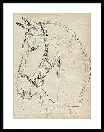 Amanti Art Impresión artística enmarcada para pared, diseño de caballo en brida II de Jennifer Paxton Parker, arte de pared de animales, decoración