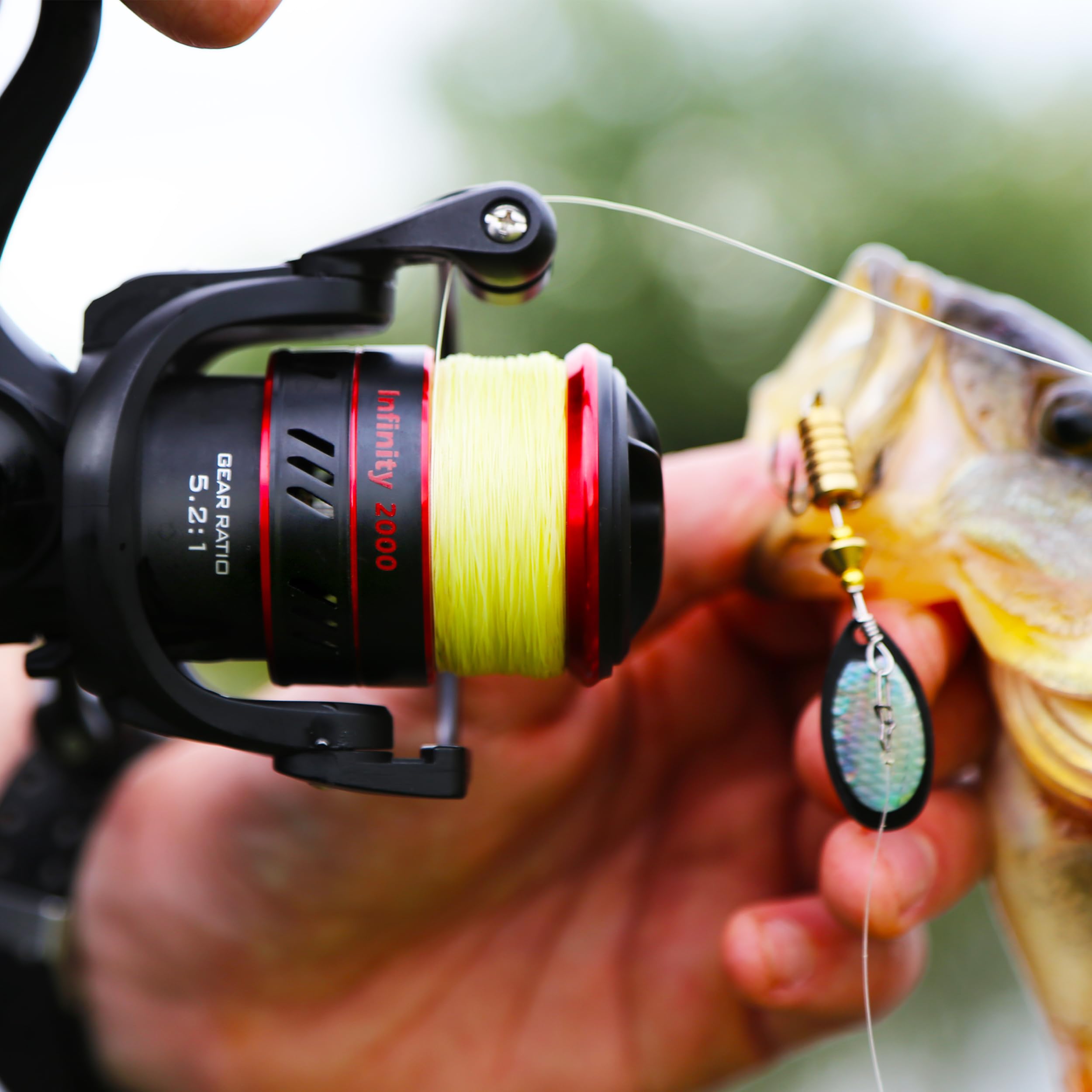 Paradox Fishing Infinity Spinnrolle 2000/3000/4000 - die perfekte Angelrolle zum Barsch-, Zander- oder Hechtangeln
