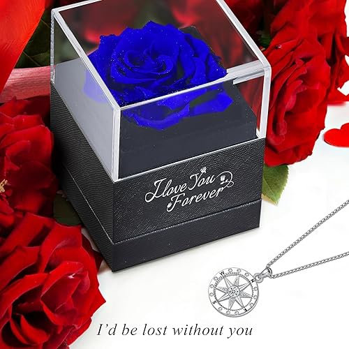 Miniatura 2 de ASELFAD Flores preservadas, rosa azul real con brújula, regalos de rosa para el día de la madre, día de San Valentín, Navidad, aniversario, regalos