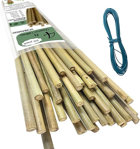 YFZBAMOO Estacas de bambú para plantas de 4 pies, estacas ecológicas, postes de bambú para frijoles Toamto para plantas en maceta, soportes de bambú