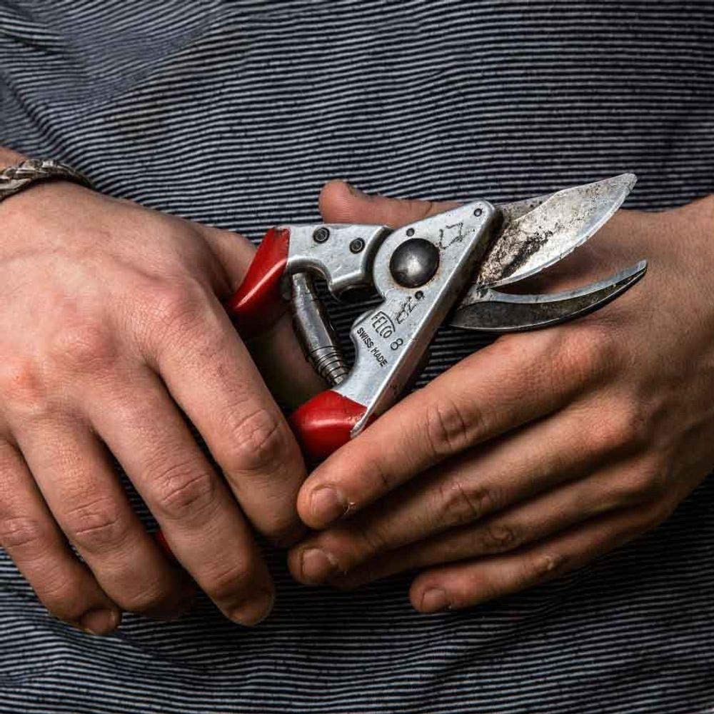 FELCO Baumschere 210 mm 245 g, Rot, Anvil, Modern, Beidhändig