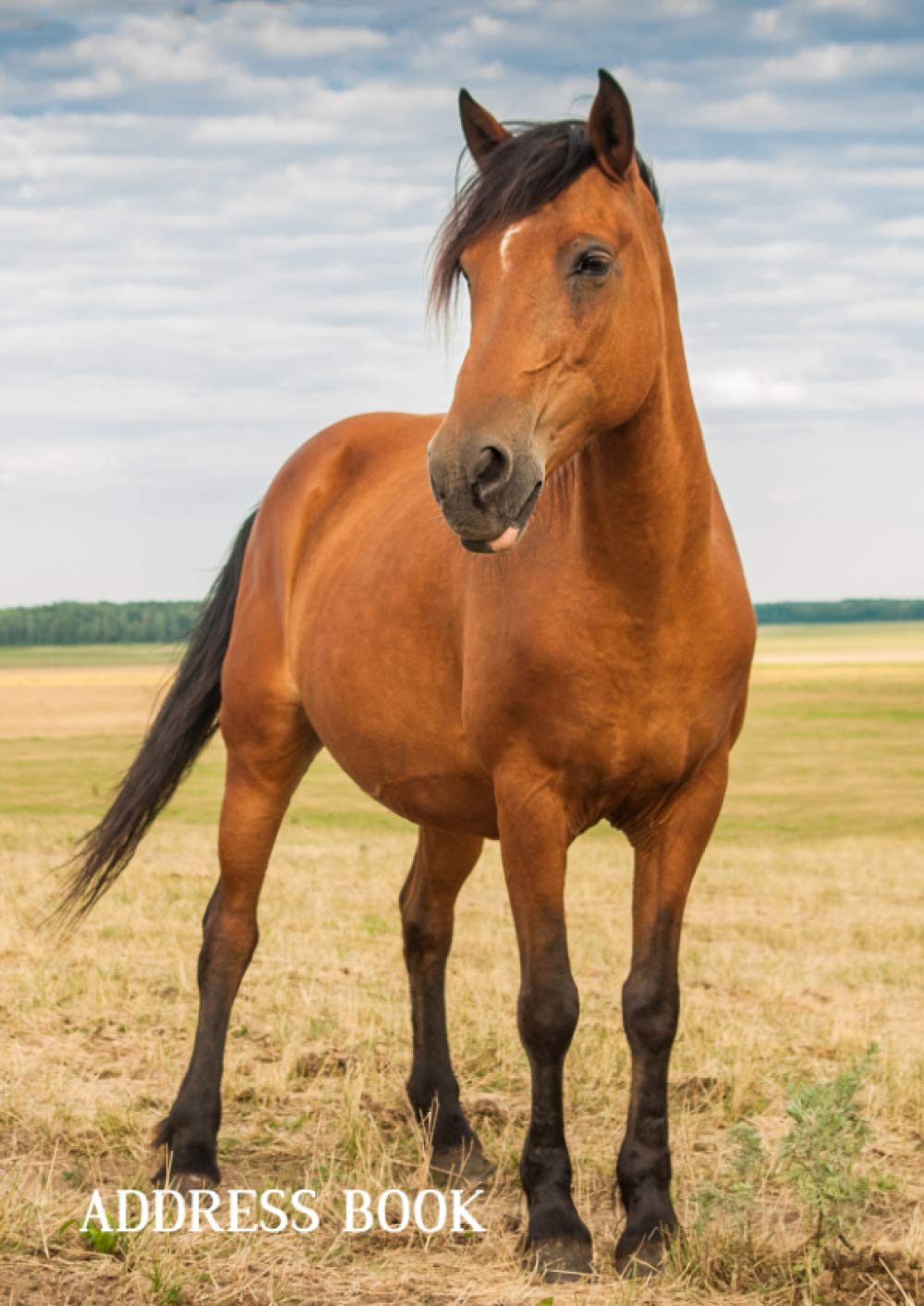 Address Book: Horse Lovers, A4 Large Print Telephone Address Book Alphabet Index with Birthdays, Anniversaries for Elderly & Men