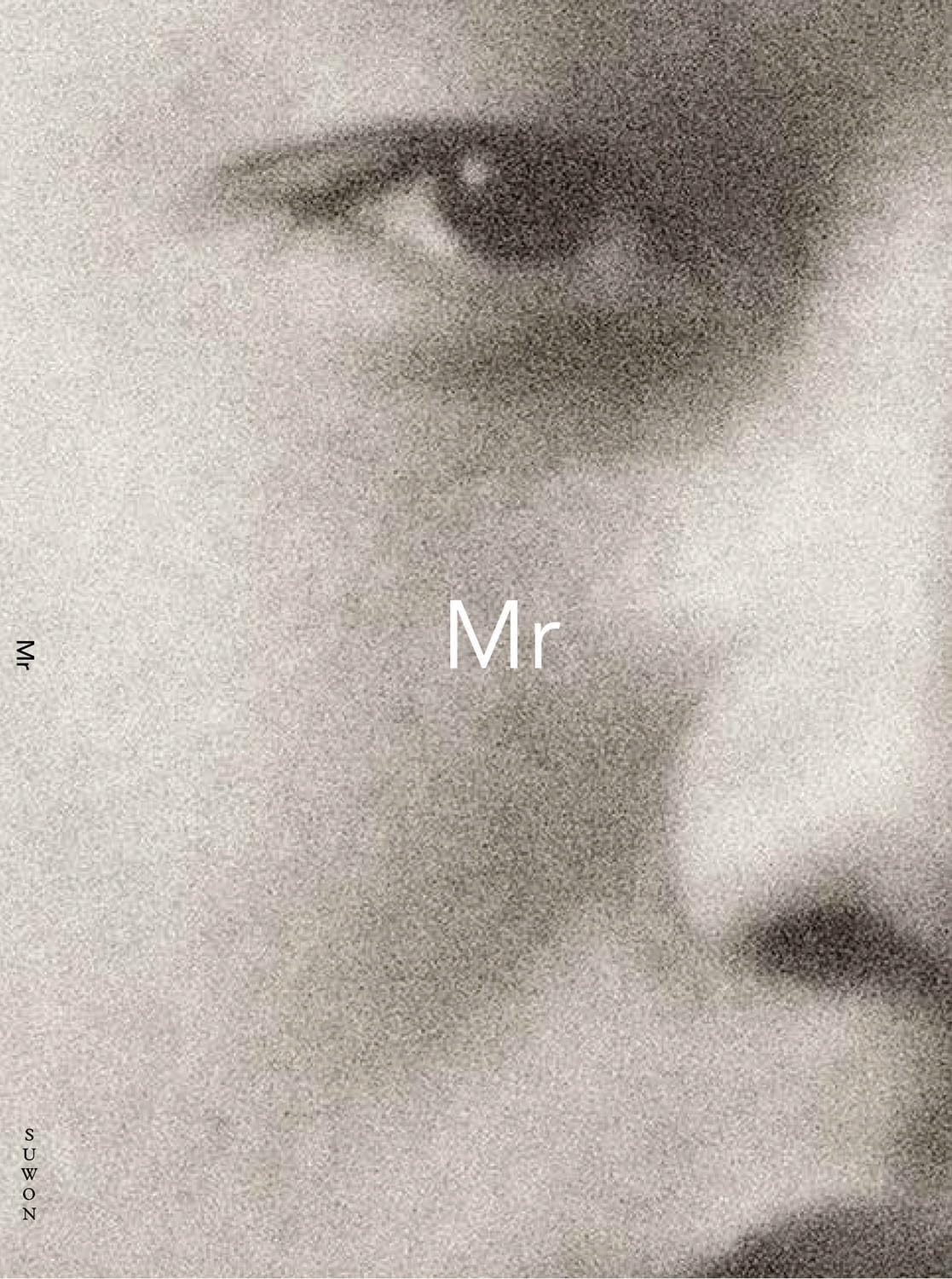 Suwon Lee: Mr. & Mrs. (Paperback Book)