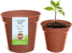 Whitefurze G04022 20cm Garden Pot - Terracotta