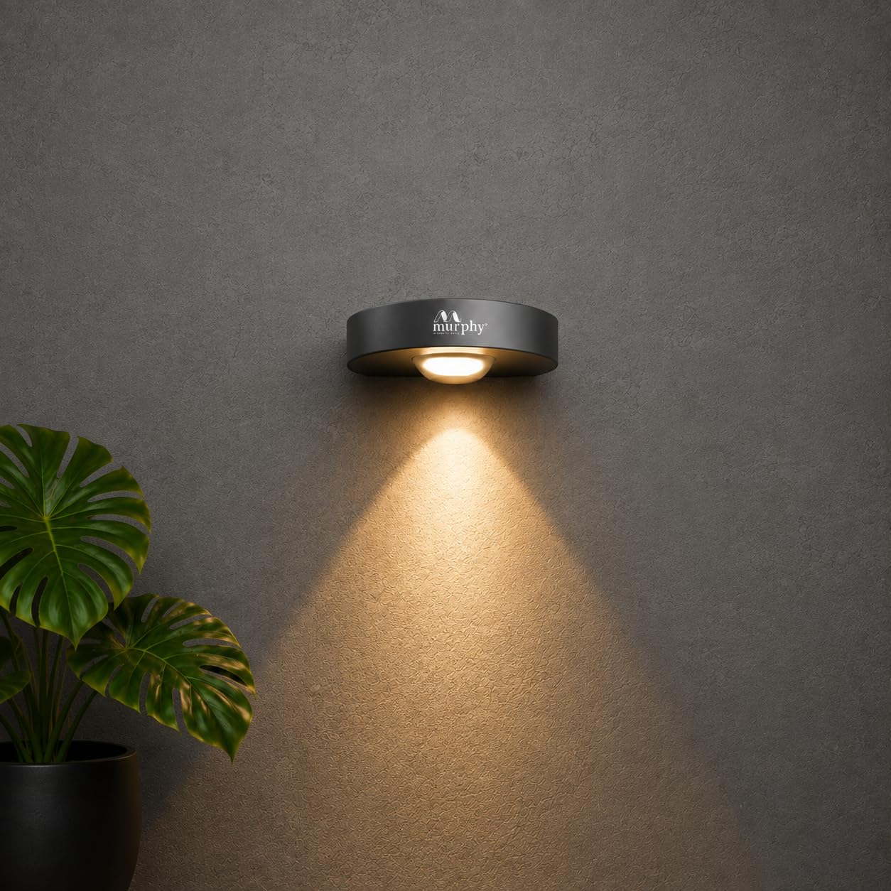 Murphy Areo 1-Way Waterproof LED Wall Light – Warm White, Aluminum Body, 2-Year Warranty, Indoor & Outdoor – Pack of 1