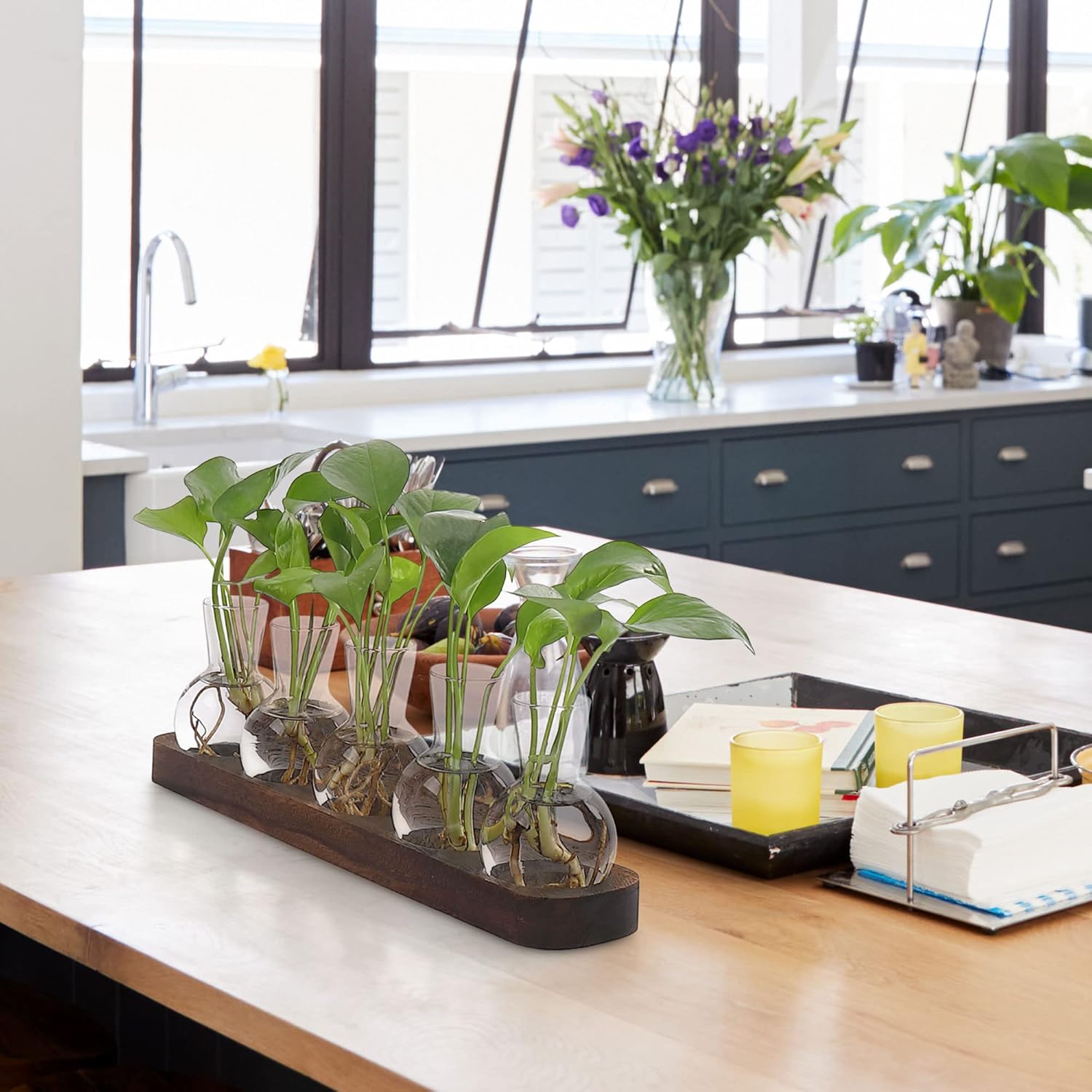 YIBOT Plant Propagation Stations,Glass Propagation Vases for Plants Terrarium with Wooden Tray Plant Lover Gifts for Propagating Hydroponic Plants Home Office Decor(5 Vase) - Image 8