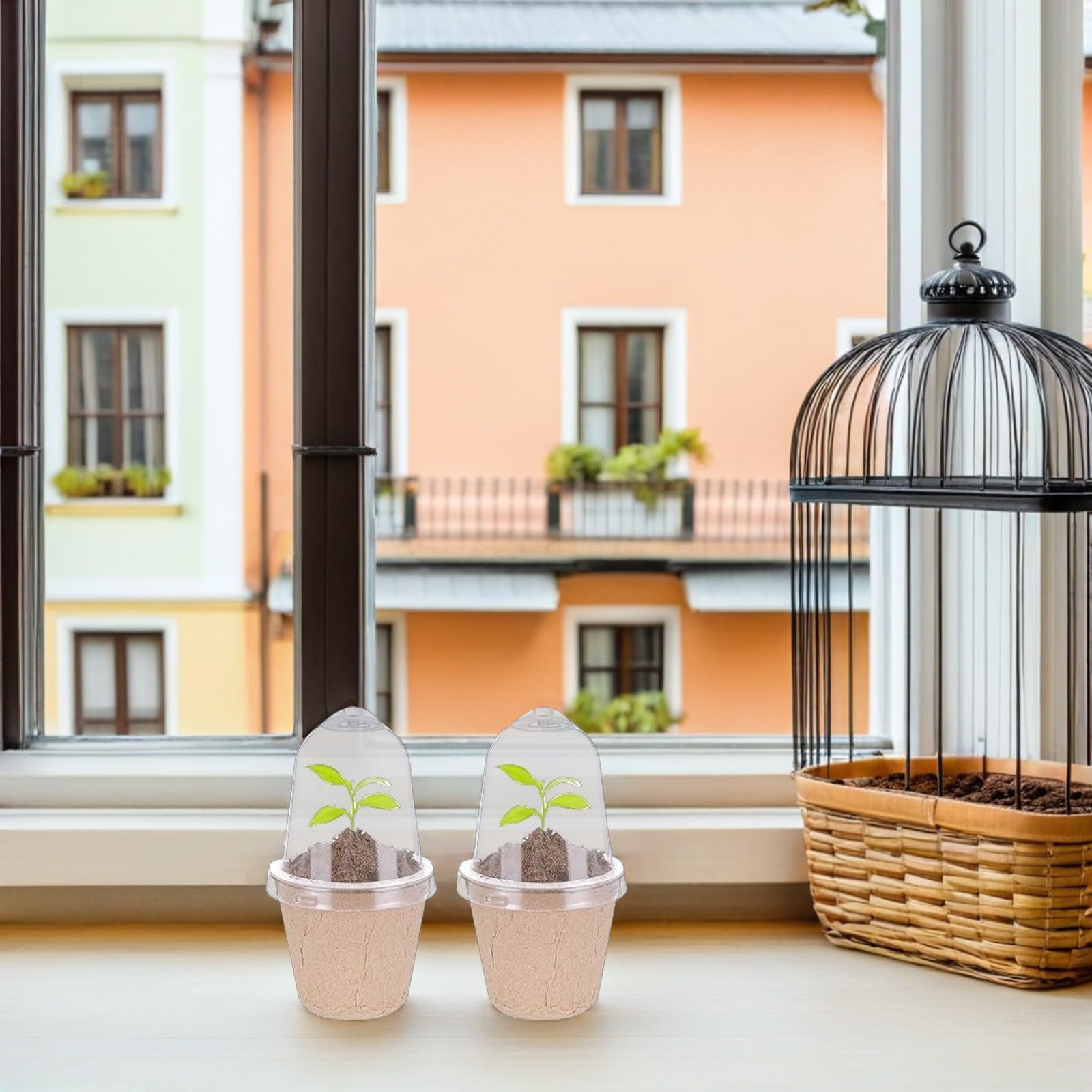 TOYANDONA 40 Stück Biologisch Abbaubare Rundpflanztöpfe aus Papierpulp Kleine Anzuchttöpfe für Samen und Jungpflanzen für Balkon Garten Schulprojekte und