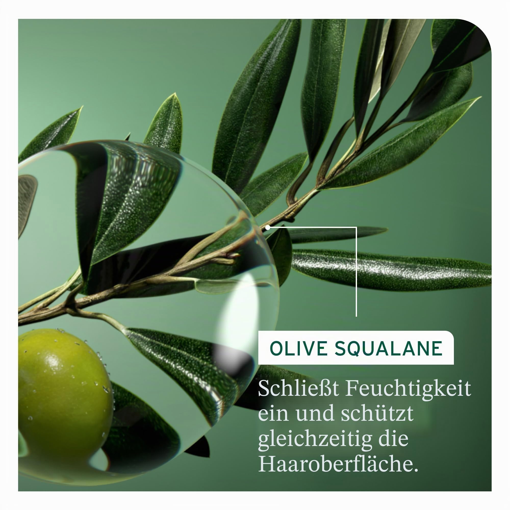 Biolage, Restrukturierendes Spray, für beschädigtes und sensibilisiertes Haar, Hitzeschutz bis 230 °C, verstärkte Haarfaser, mit veganem Squalan, leichte Formel, Strenght Recovery, 250 ml