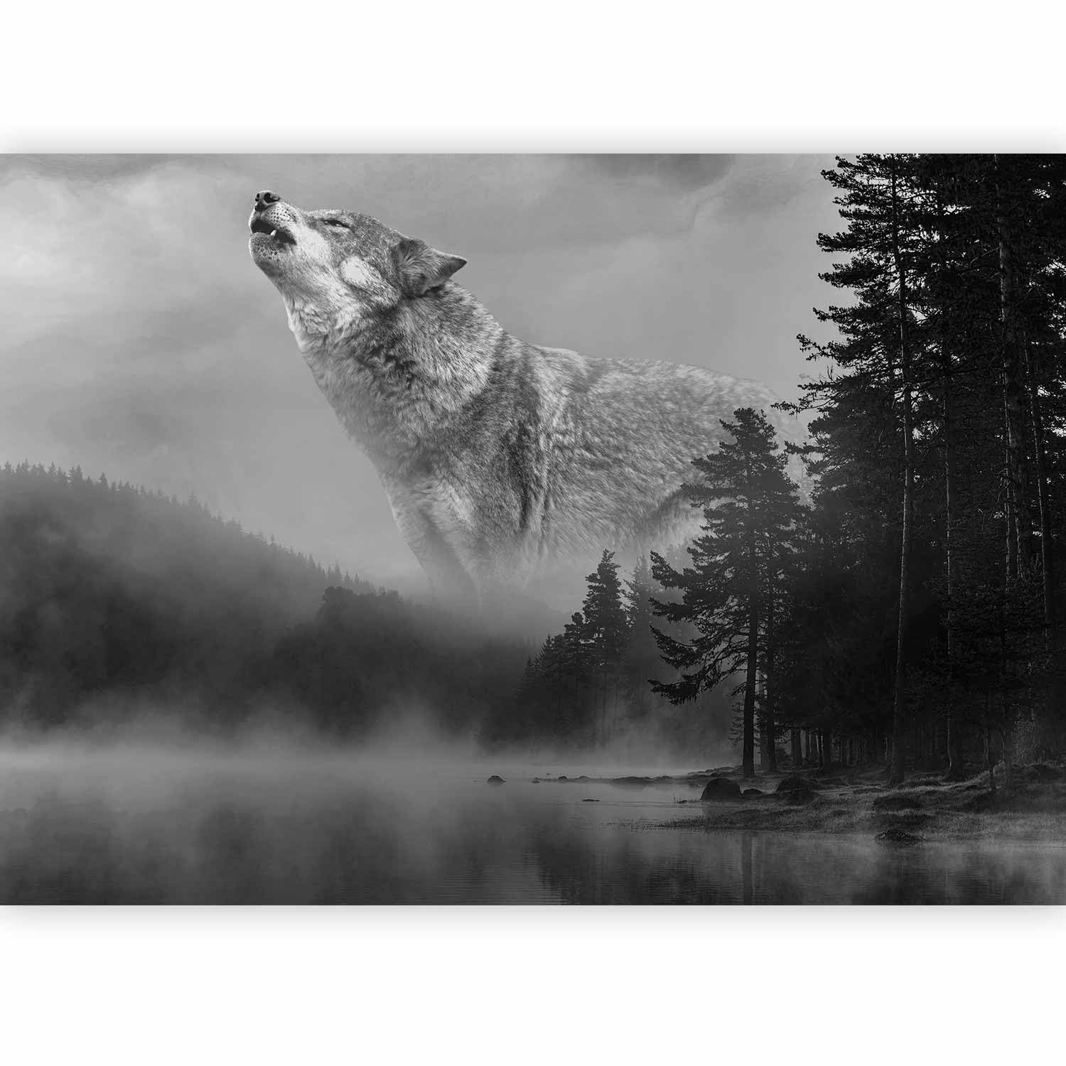 murando Photo Wallpaper Forest 500x 350 cm/196,8" x 137,8" Non-Woven Premium Art Print Fleece Wall Mural Decoration Poster Picture Design Modern Fog Wolf Black White c-C-0475-a-a — image 1