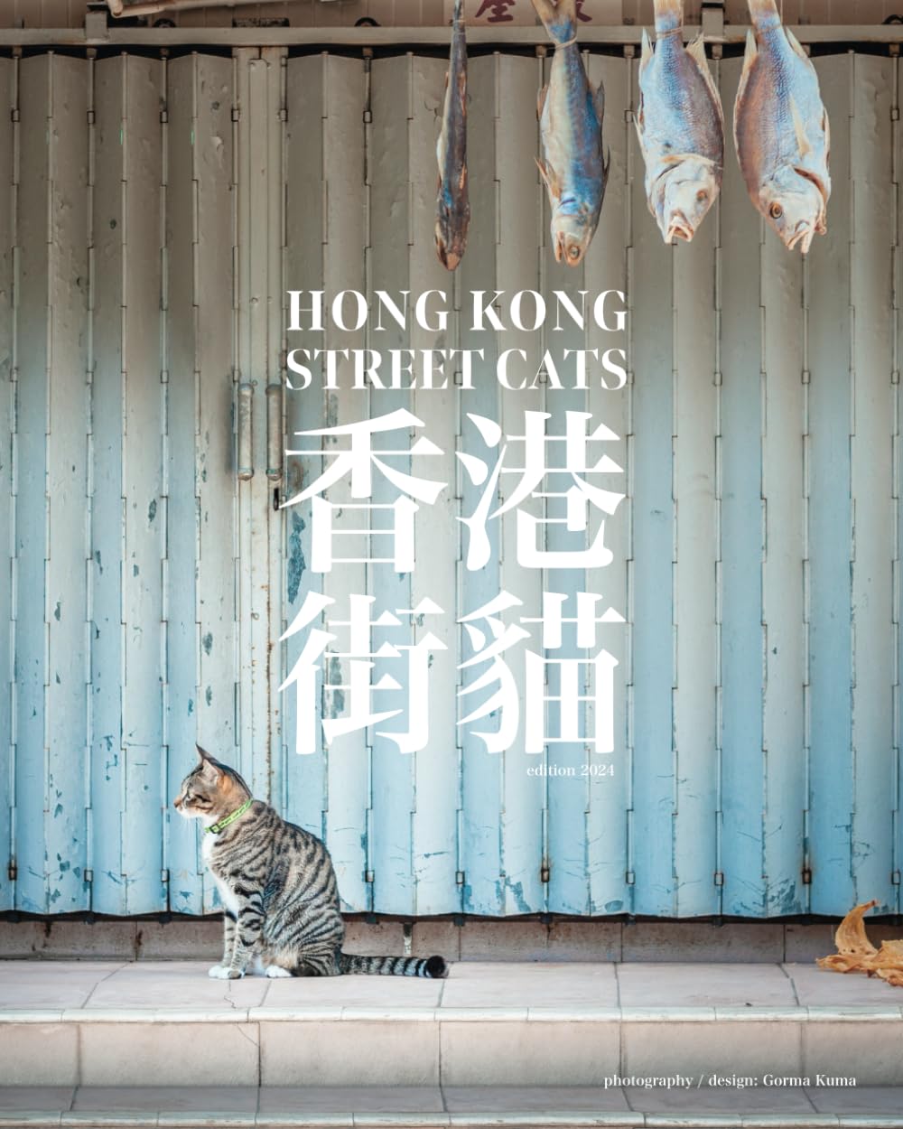HONG KONG STREET CATS 香港街貓: photography book of cats in the street, alley and neighborhood of HK and Macau