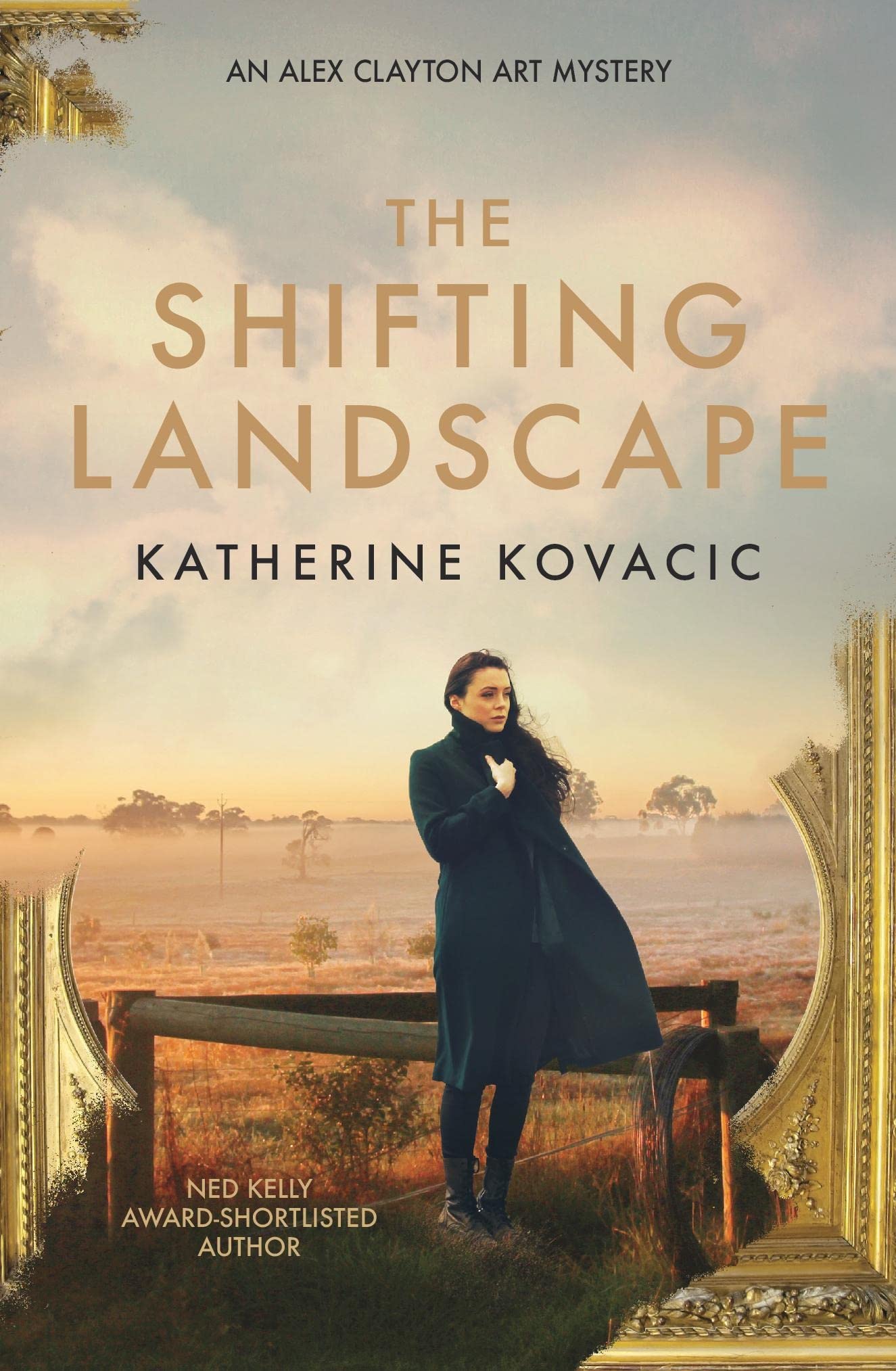 Buy The Shifting Landscape — BookShops.in