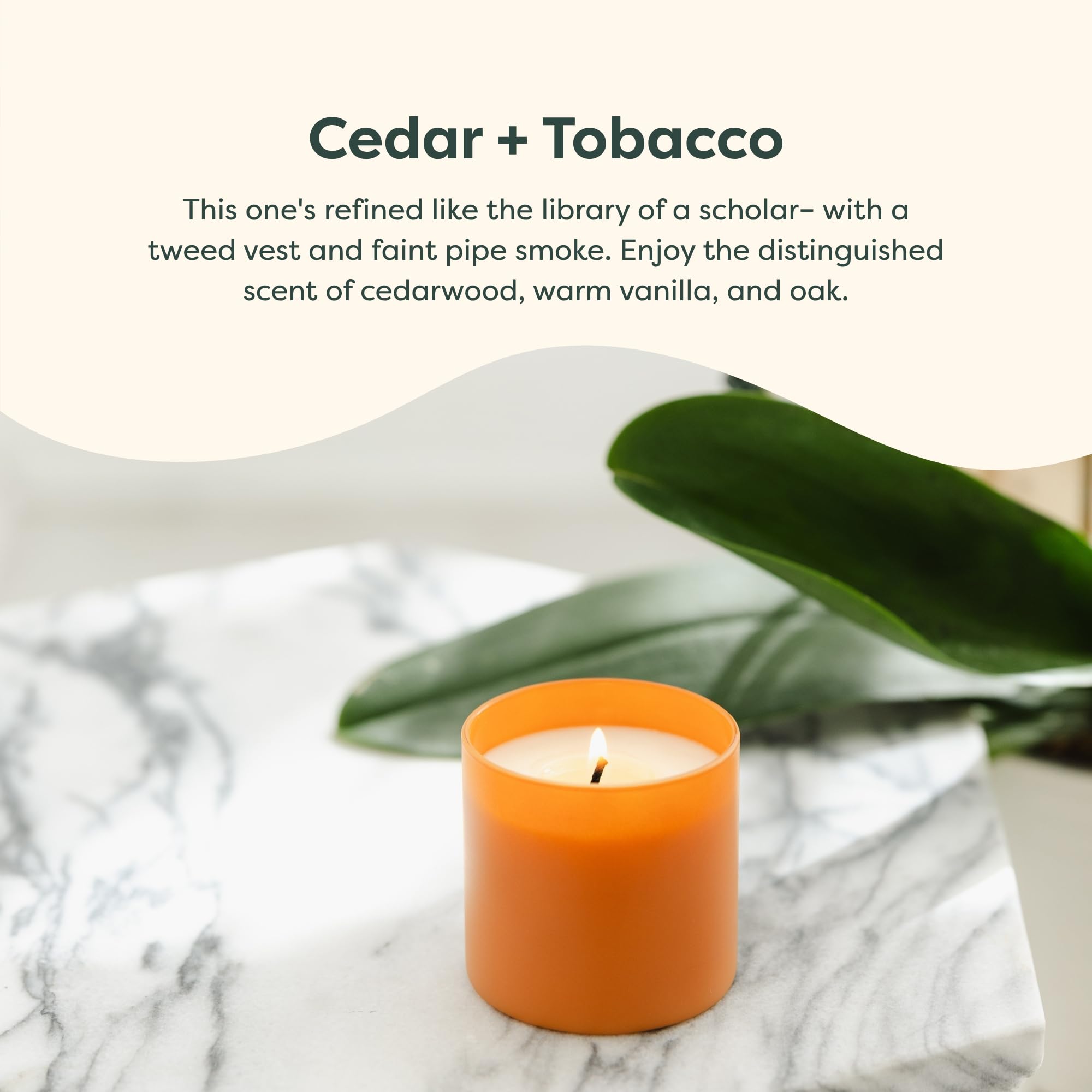 cedarwood and tobacco candle + Scented 8oz CedarwoodTobacco W/Lid 14oz Wholesale Tobacco, leather, cedarwood, patchouli,