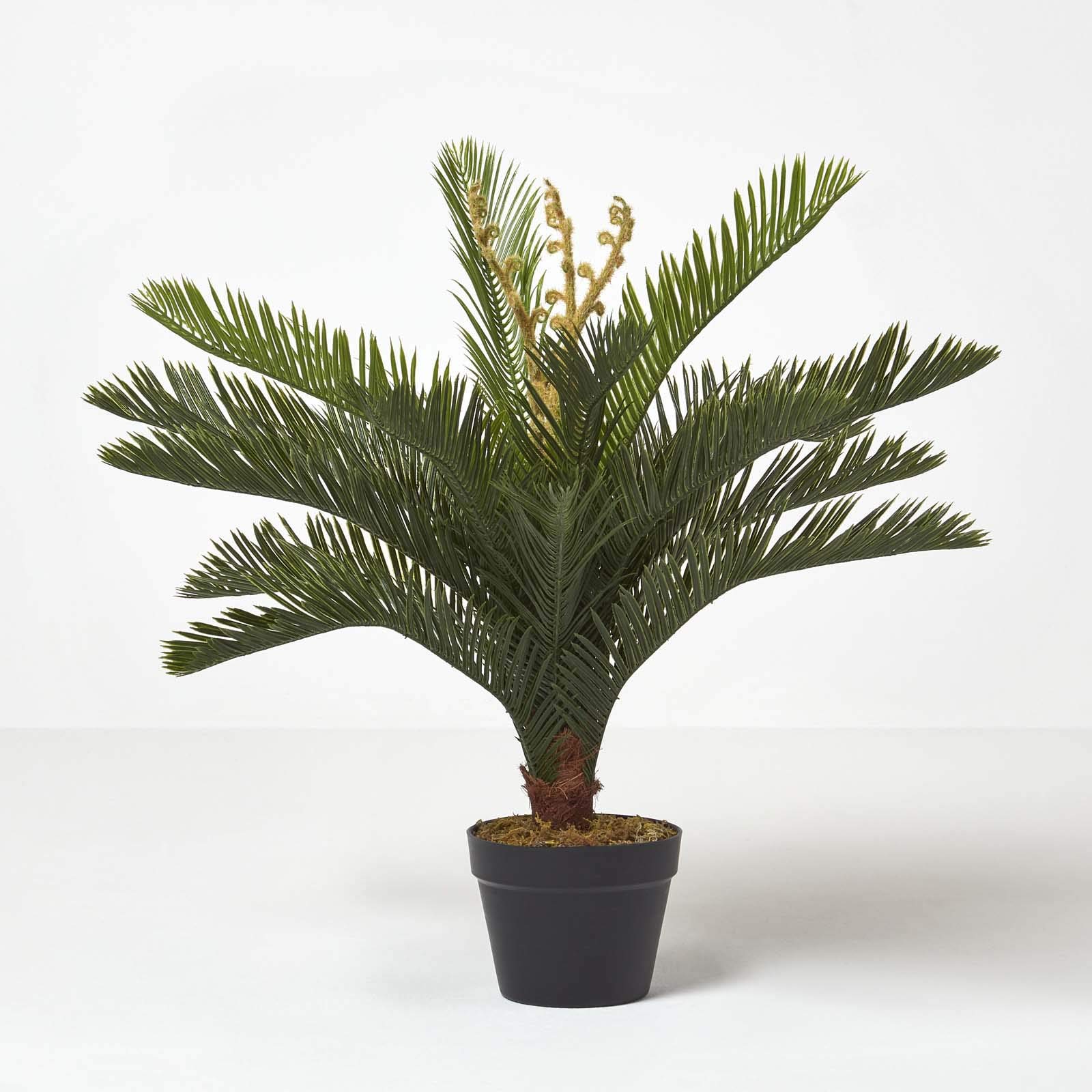 Homescapes, pianta artificiale “Cycas revoluta” con vaso nero, 75 cm