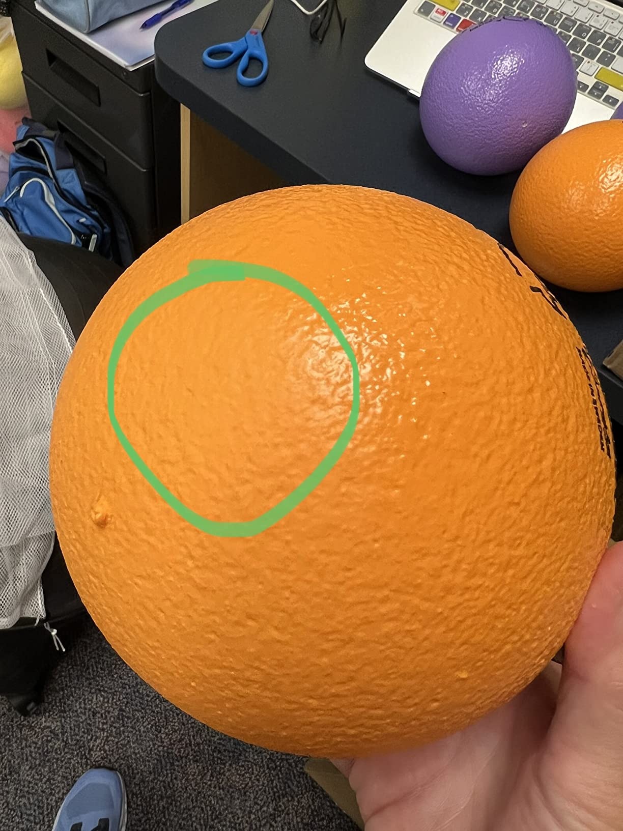 10/mo Finance Champion Sports Rhino Skin Basic Dodgeball Set, 6