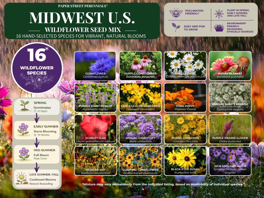 Amazon.com : Wisconsin Bulk Perennial and Annual Wildflower Seed Mix 1lb  Covers 2,000sq-ft - Attract Pollinators, Multi-Color Blooms - Midwest US  Species Plant in Spring/Fall - Earth-Friendly Packaging (1 Pound) : Patio,