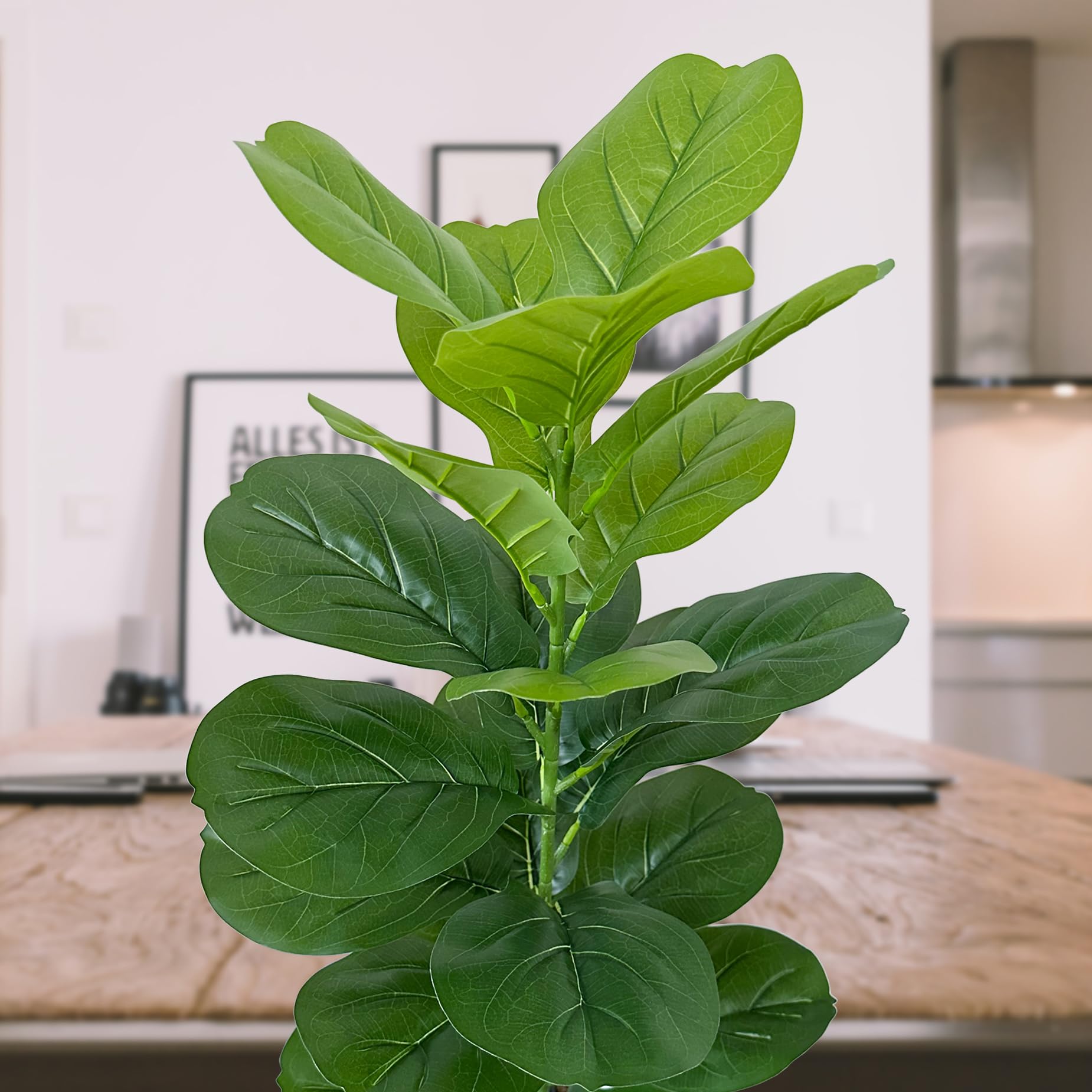 Amazon｜SAJANDAS 人工カシワバゴムノキ2個セット 鉢植え 33インチ 