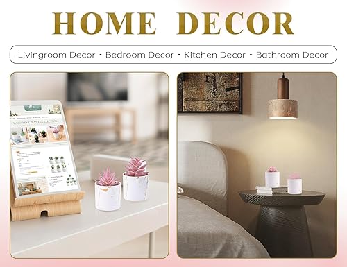 Miniatura 5 de Der Rose 4 Paquetes de Plantas Suculentas Falsas Artificiales de Interior para Decoración de Habitación Rosa y Baño, Accesorios de Escritorio de