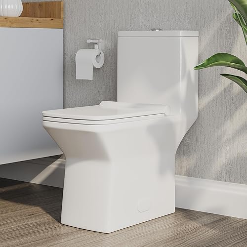 Inodoros para baños, DeerValley DV-1F0073 - Inodoro de una pieza de doble descarga 11.6 GPF MaP 35.27 oz Altura de la silla 16.93 pulgadas, inodoro