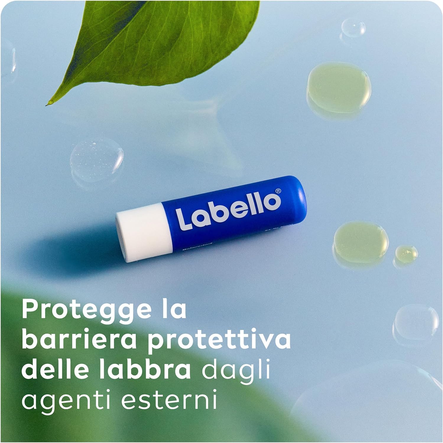Labello Classic Care Balsamo Labbra 4.8 g, Burrocacao labbra classico fondente sulle labbra, Lip balm con burro di karité idratante fino a 24 ore, Senza oli minerali e paraffine