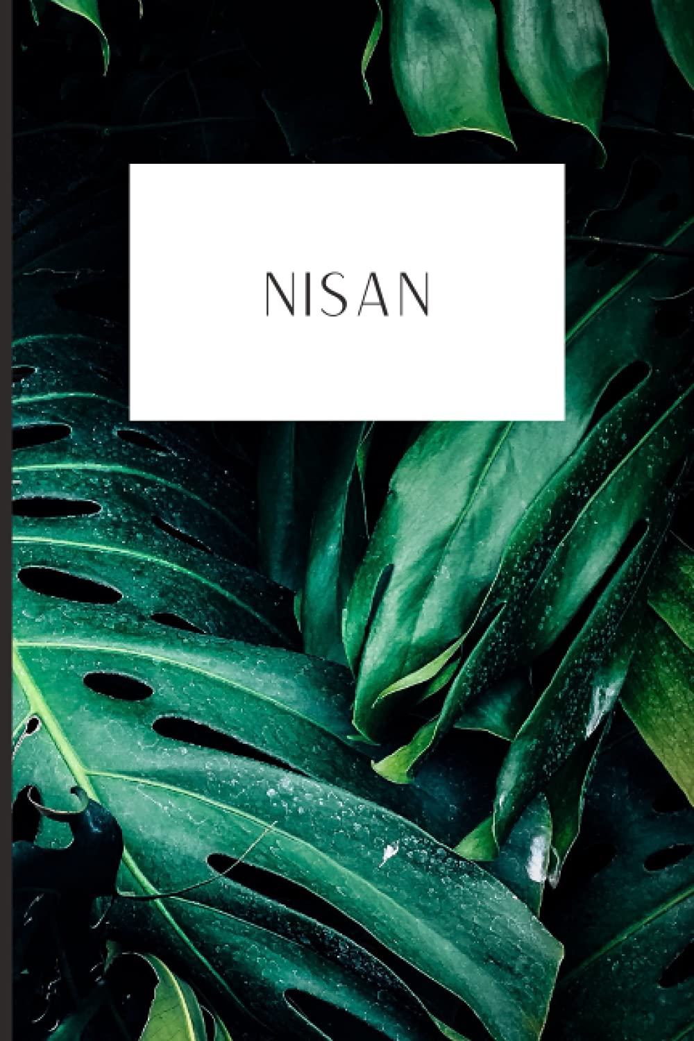 Hebrew Month Prayer Journal: Nisan: Paperback, 120 Pages (Hebrew Month Prayer Journal: Spiritual Growth Series (Set of 12 Journals))