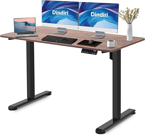 Dindiri Escritorio eléctrico de pie ajustable de altura de 48 x 24 pulgadas, escritorio ergonómico para computadora con memoria, escritorio de