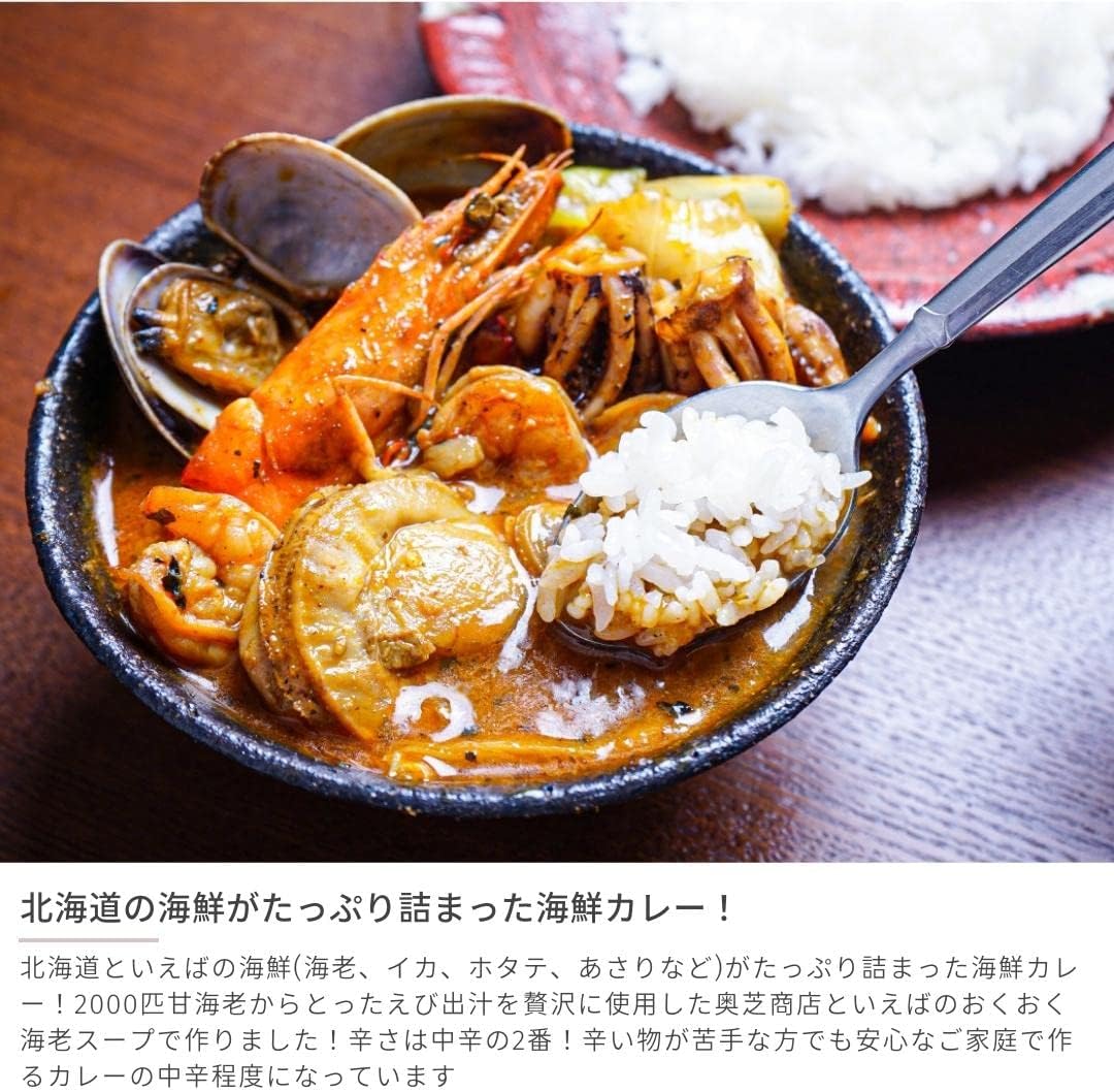 北海道の恵み！竜宮の賄い海鮮スープカレー 500g×2 レトルト スープカレー 札幌市 奥芝商店