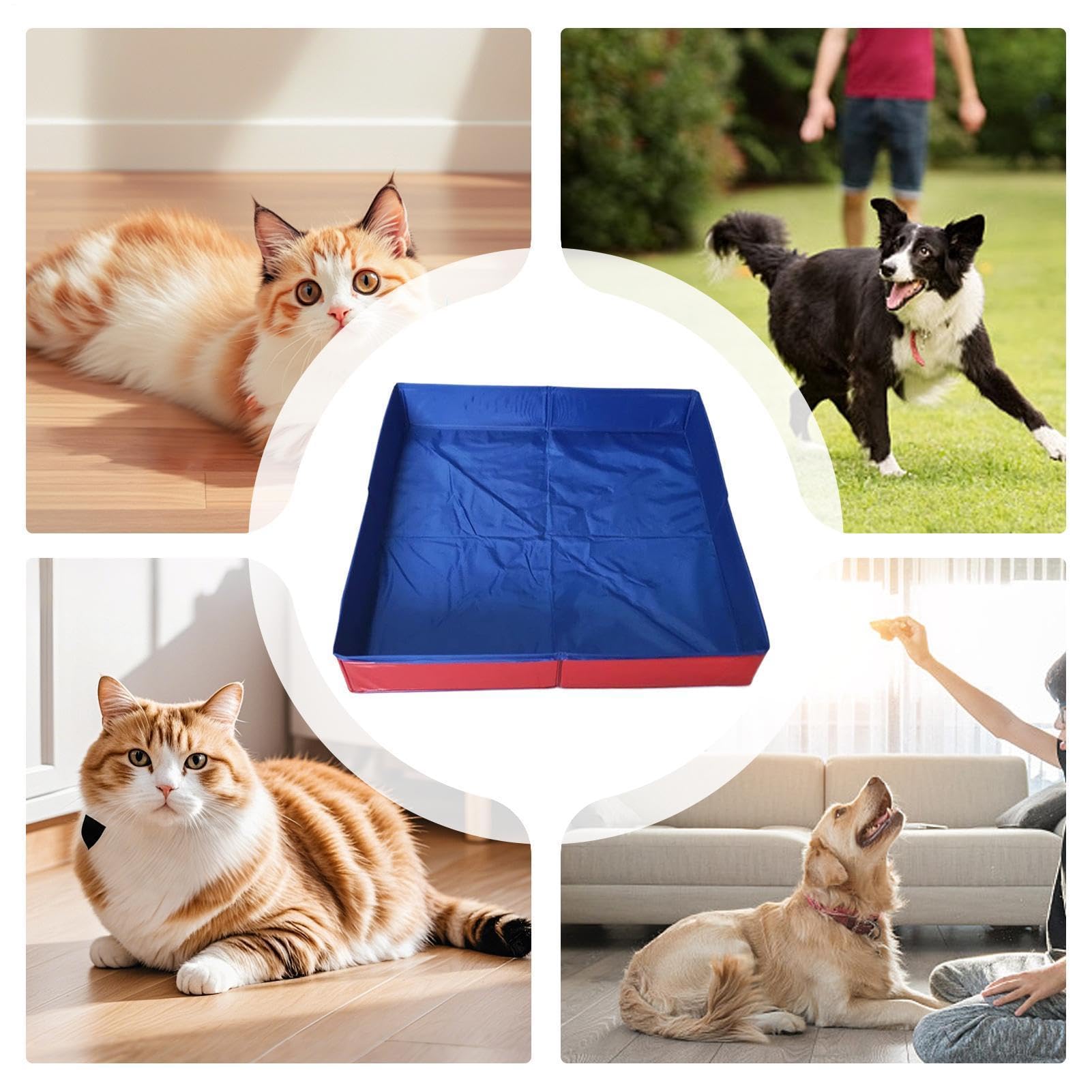 View 2