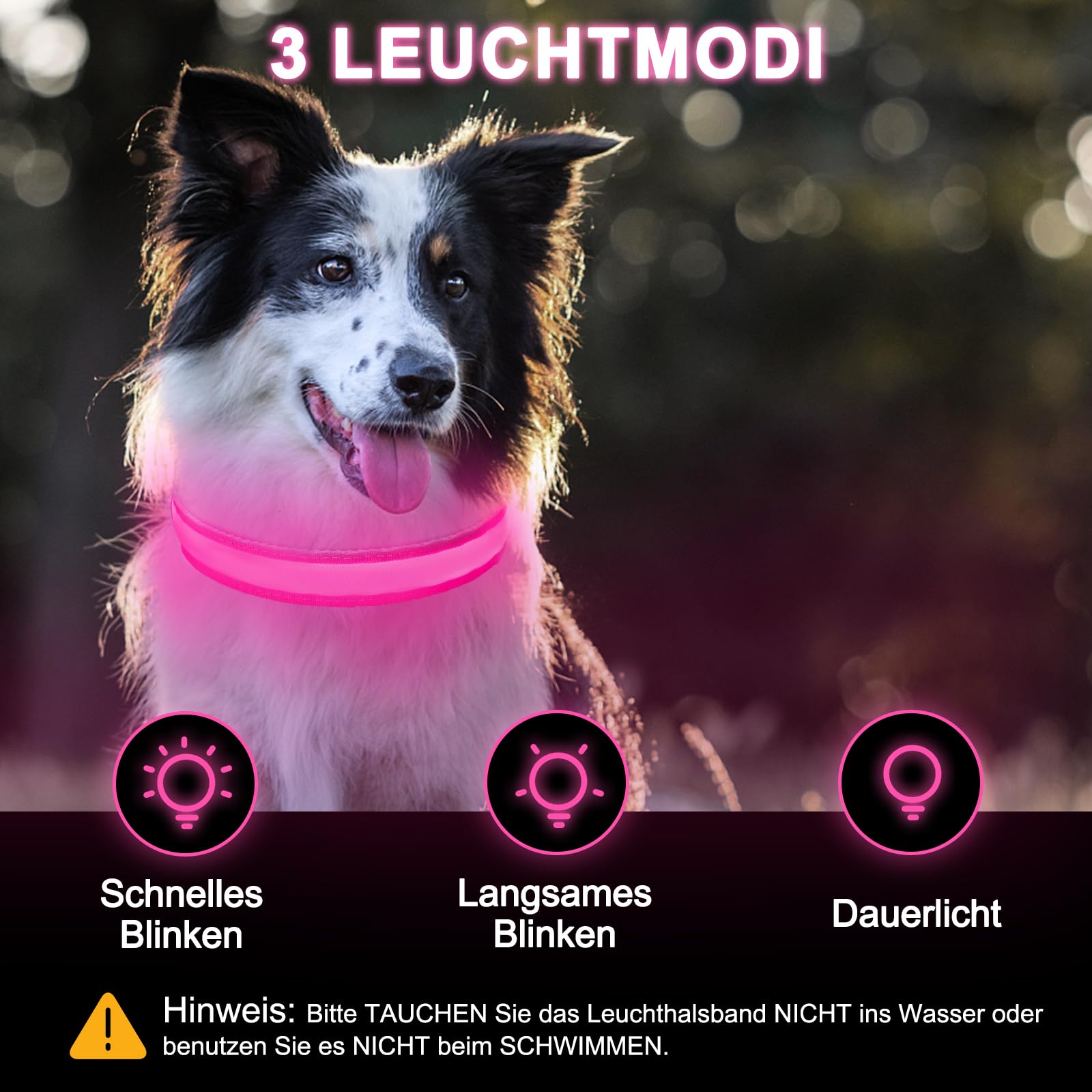 Nepfaivy Collare Luminoso per Cani Ricaricabile - Collare per Cani a Led con Lunghezza Regolabile, 3 Modalità di Illuminazione per la Sicurezza Notturna, Rosa