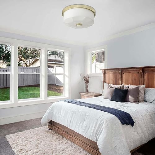 Miniatura 2 de Lámpara de techo de montaje empotrado con pantalla de vidrio esmerilado, 2 luces para interiores y exteriores, iluminación de granja, luces de