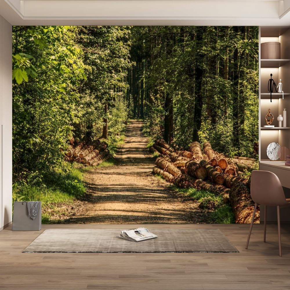 Papier Peint Panoramique Paysage Rural 3D à Effet Trompe l'Oeil Visuel
