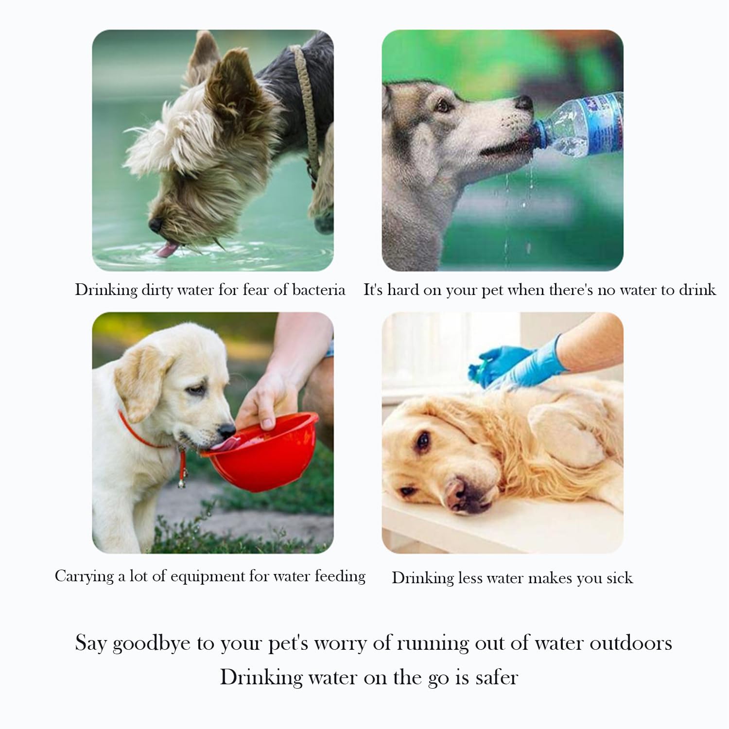 Borraccia Portatile per Cani 550ml con Ciotola Integrata - Ciotola da Viaggio Antigoccia per Cani e Gatti, Ideale per Escursioni, Viaggi e Allenamenti Estivi