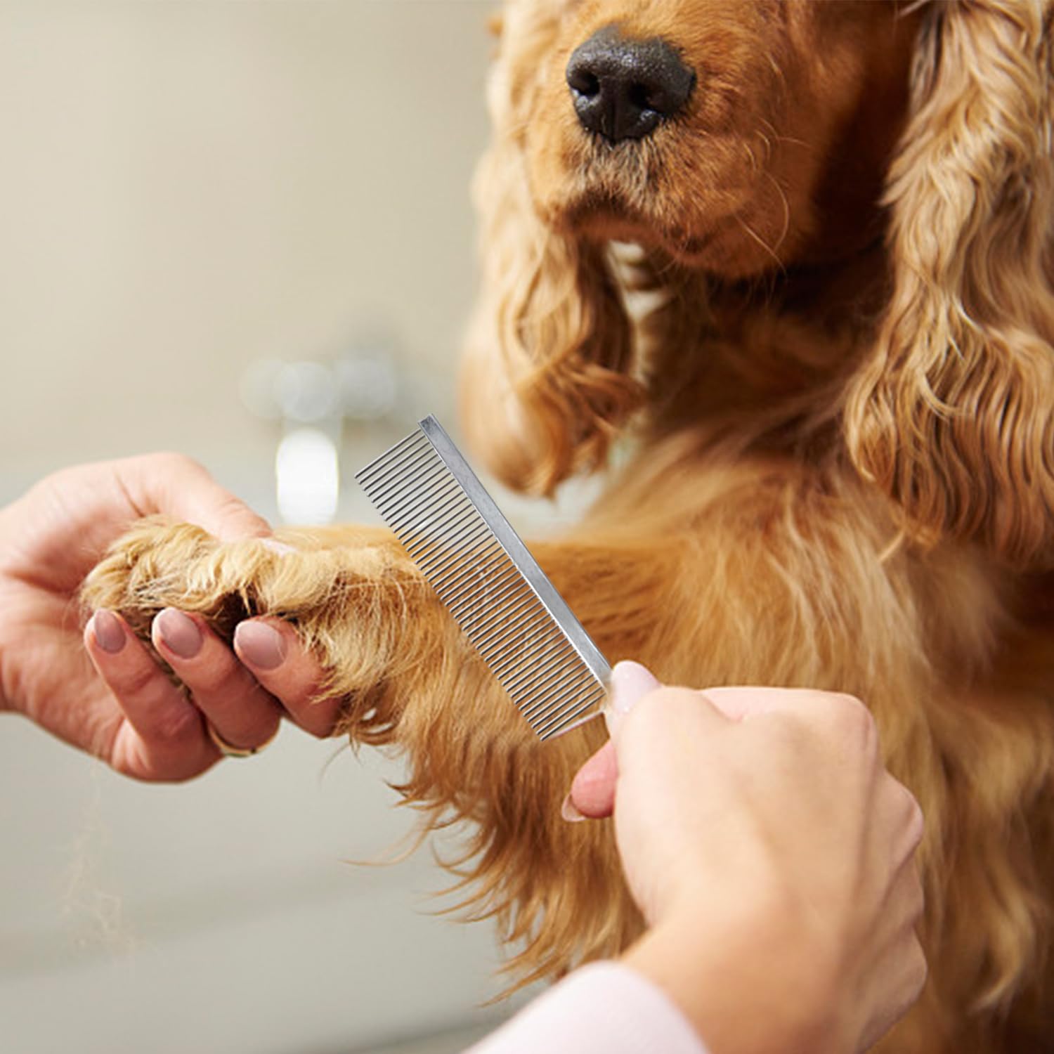 2 Morceaux en Peigne pour Animaux De Compagnie en Acier Inoxydable, Matériau De Zoo, Crête D'Épilation, Outils De Trésorerie De Cheveux.