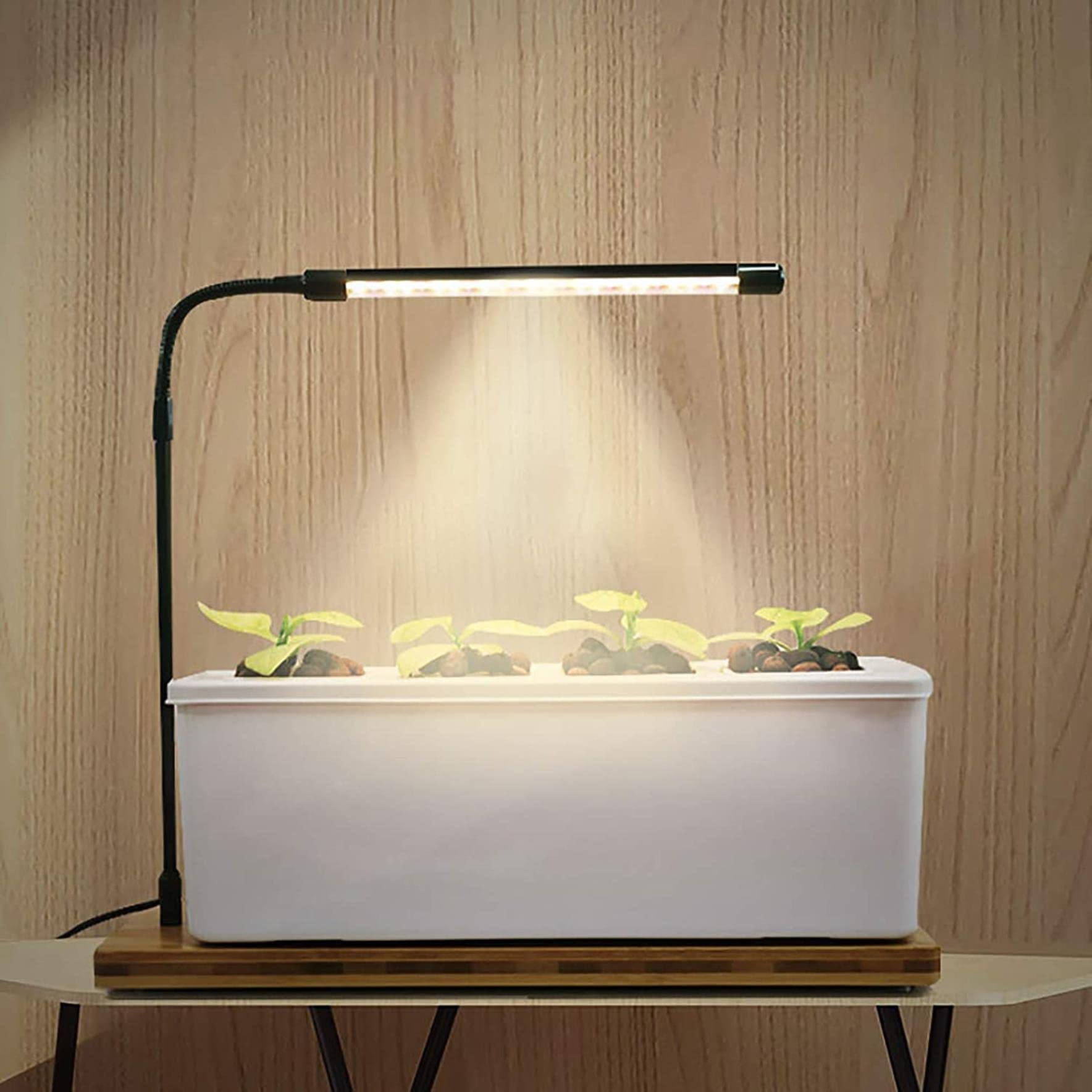 Kit De Germination du Jardin Hydroponique, Kit De Jardin d'herbe Intérieure avec LED, Plante De Semis De Culture sans Scolarisation, Idéal pour Diverses Plantes, Décoration Bricolage